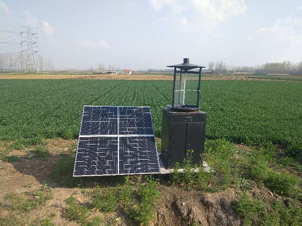 自动虫情测报灯报价