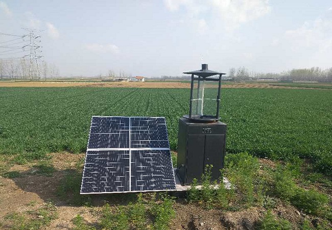 智能化解决害虫威胁 - 智能虫情测报灯在田间的应用