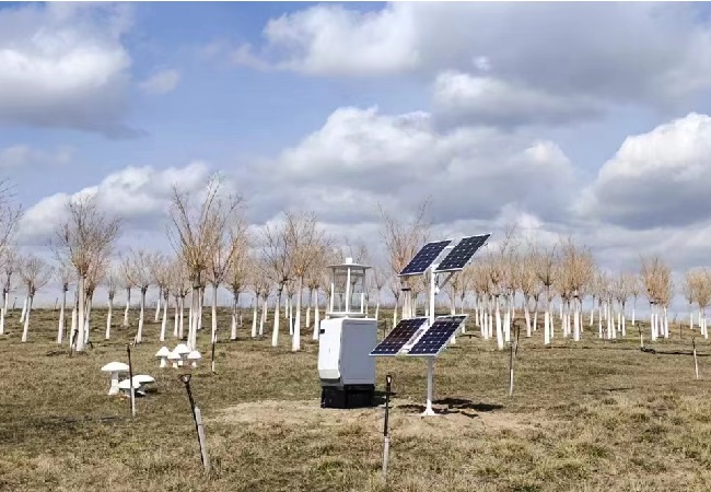 作物保护必备:智能虫情测报灯为您提供及时警示