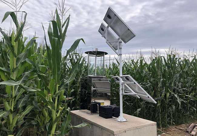 “农业智能化时代:物联网技术优化农业生产”