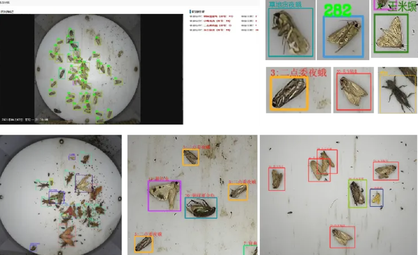 重磅！河南省农科院与云飞科技联合发布DeepSeek农业智能体