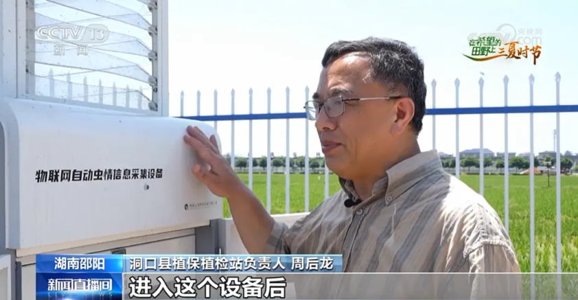 央视报道！云飞科技智慧植保设备助力湖南早稻虫害精准防控