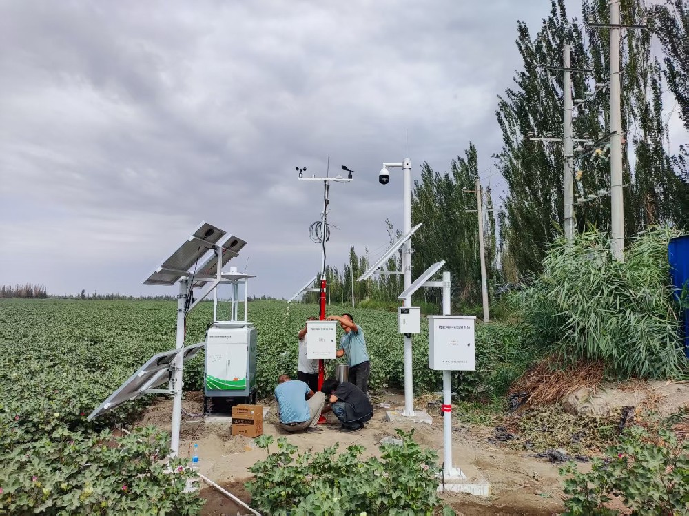 库尔勒市制种大县项目：在戈壁绿洲，让田野可感、可判、可控