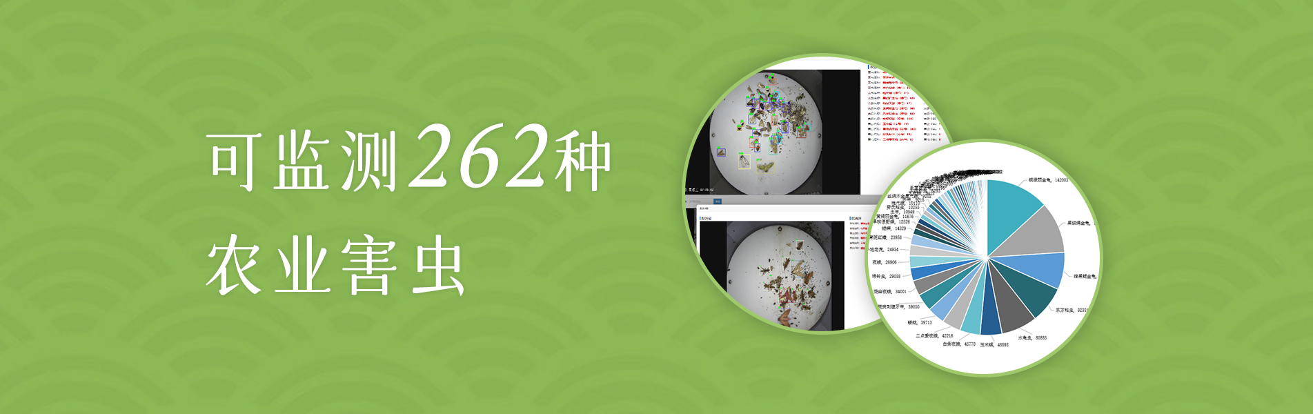 植物保护提升工程