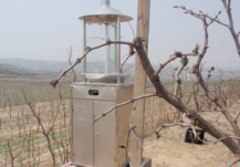 影响虫情测报灯诱虫的因素是什么?