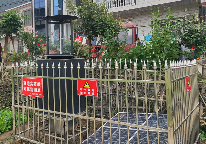 智能虫情测报灯