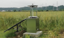 太阳能自动虫情测报灯帮助小麦实现虫情监测可防可控