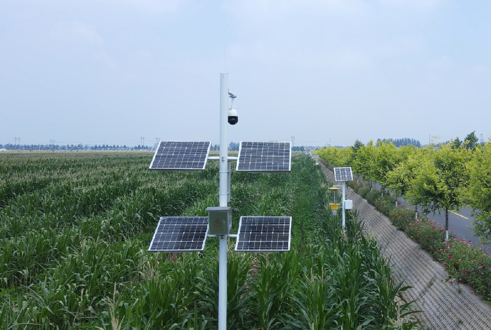 1776164940357345.png PixPin_2025-08-22_11-59-36.png