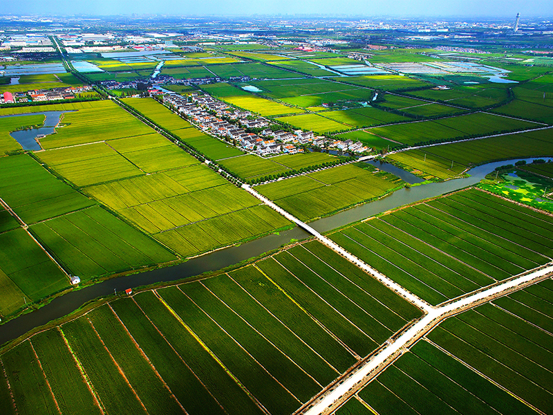 农林四情监测预警系统解决方案
