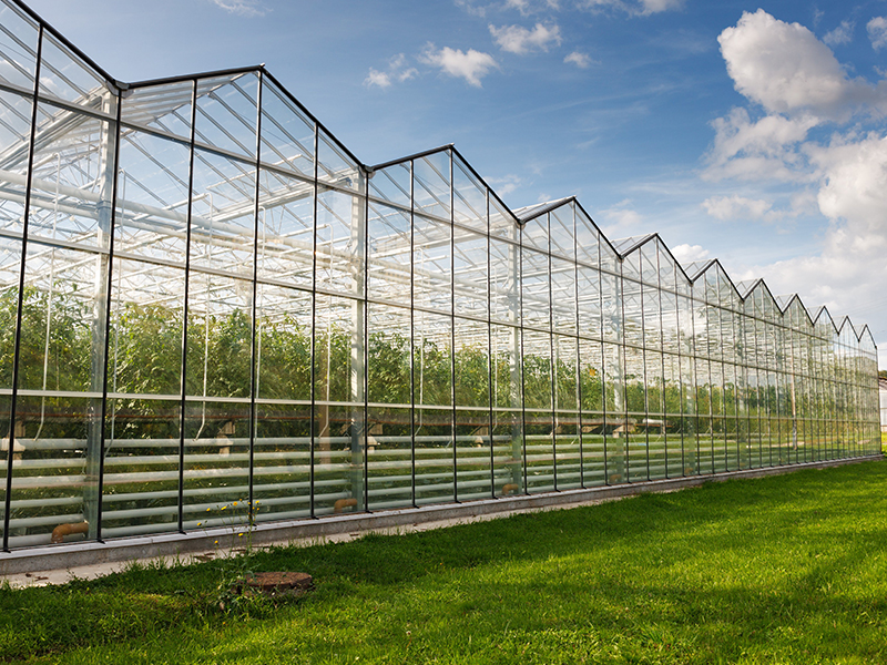 智能温室大棚控制系统