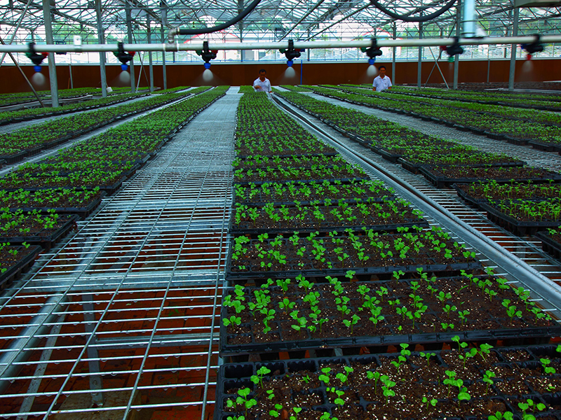 水肥一体化智能灌溉系统