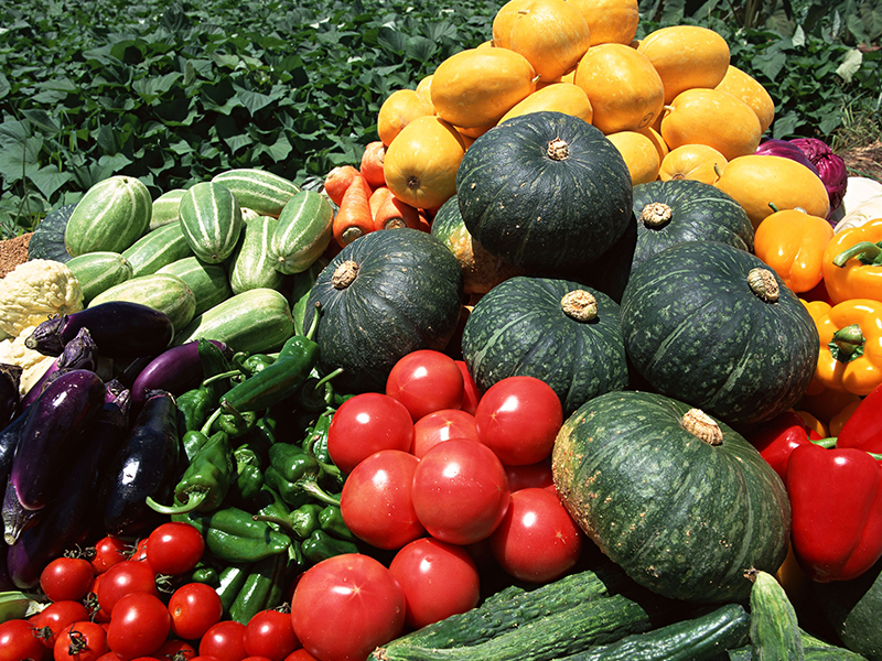 农产品追溯系统