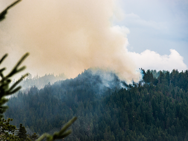 森林防火监测预警系统