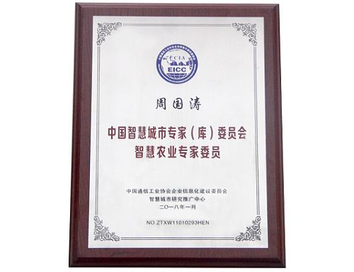 中国智慧城市专家（库）委员会证书