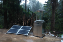 虫情测报灯为林业发展保驾护航